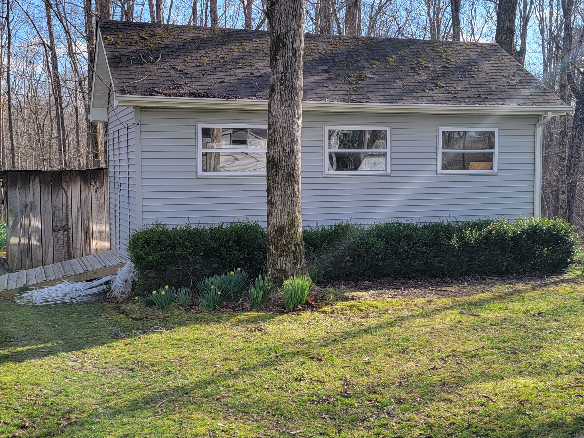 791 Jason Chapel Road Dickson, TN 37055 - Photo 5 of 27 a view of a house with a yard and plants