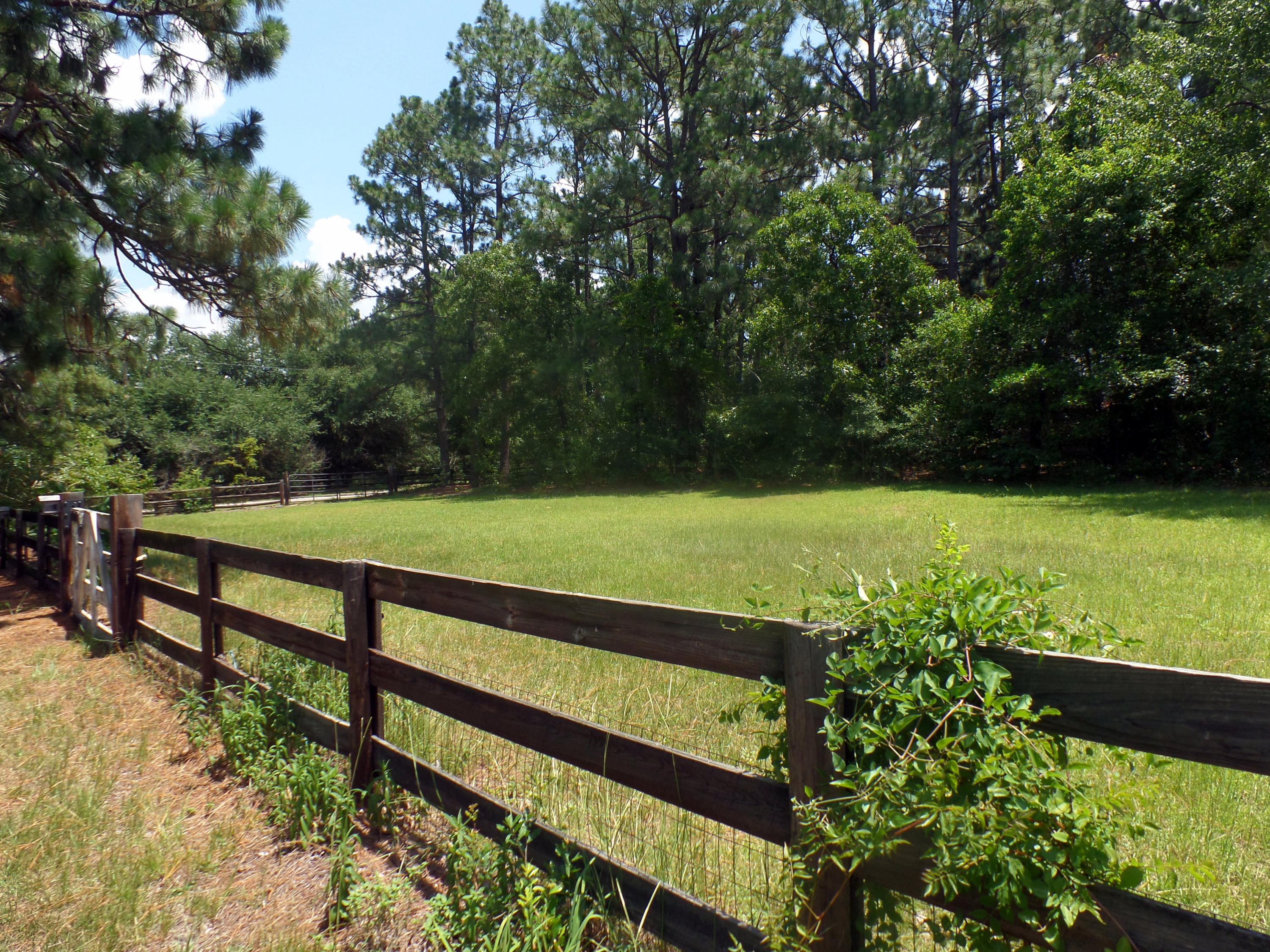 594 Yadkin Road Southern Pines, NC 28387 - Photo 15 of 43 SAM_7971