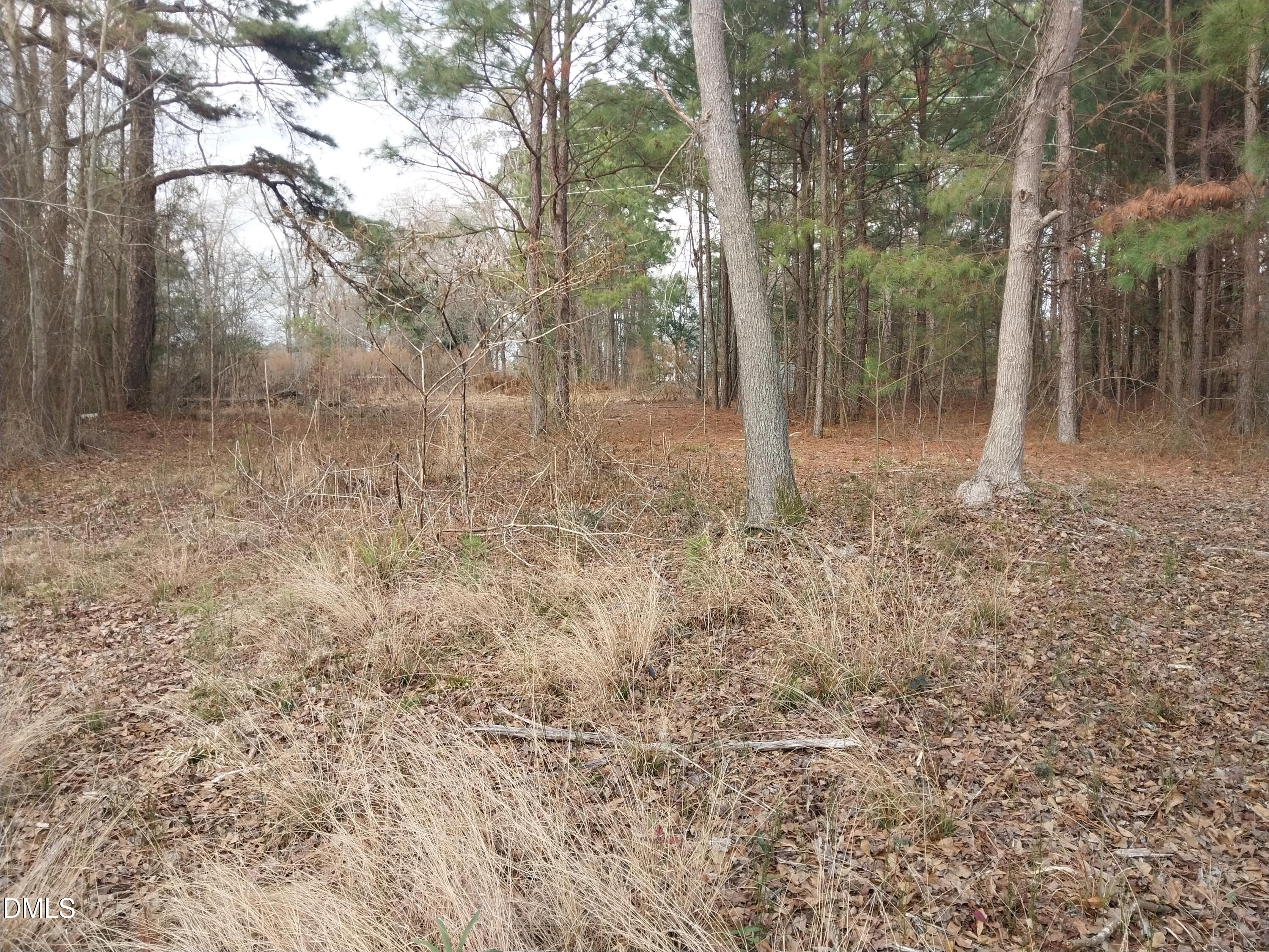 6741 Wimberly Road Willow Spring, NC 27592 - Photo 10 of 11 a view of a forest with trees in the background