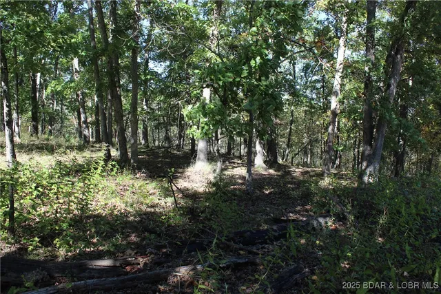 $17,900 | Lot 1241 Woodhaven Circle, Four Seasons, MO 65049