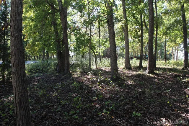 $17,900 | Lot 1241 Woodhaven Circle, Four Seasons, MO 65049