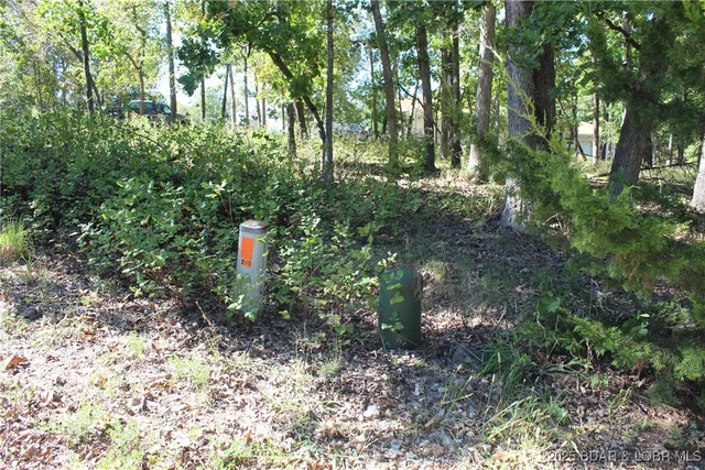 $17,900 | Lot 1241 Woodhaven Circle, Four Seasons, MO 65049