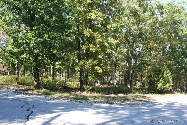 $17,900 | Lot 1241 Woodhaven Circle, Four Seasons, MO 65049