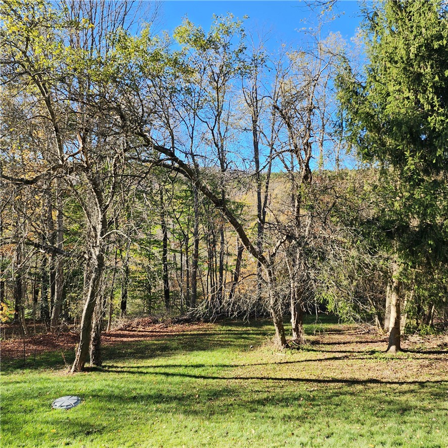 10886 Cox Road Hornby, NY 14812 - Photo 24 of 27