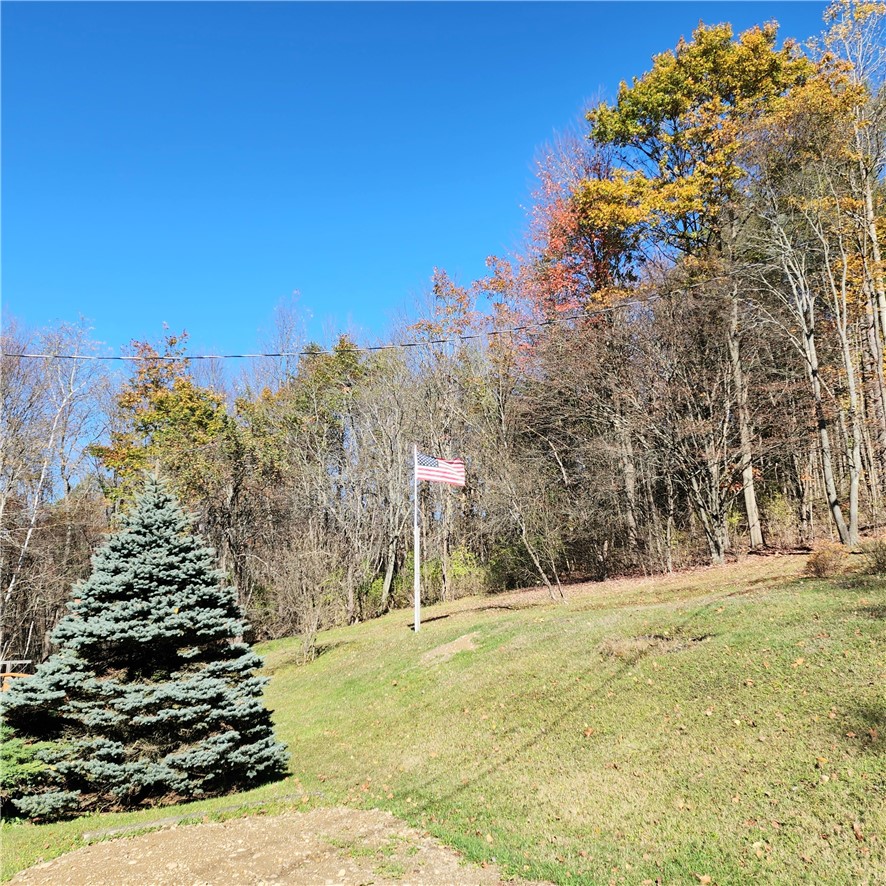 10886 Cox Road Hornby, NY 14812 - Photo 25 of 27