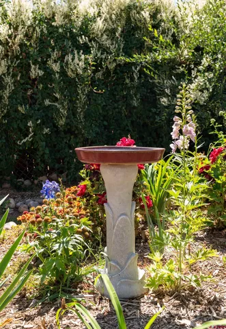 a bunch of flowers and trees