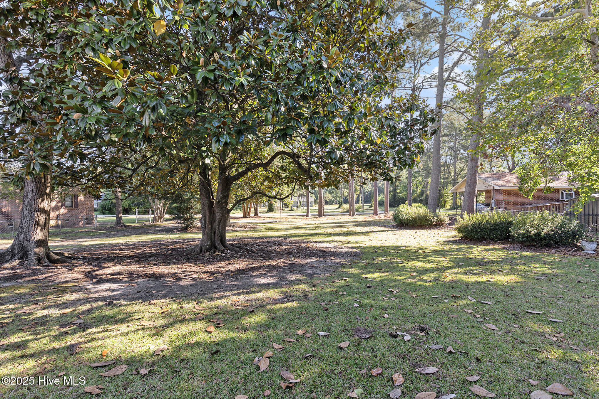 211 Pireway Road Tabor City, NC 28463 - Photo 43 of 46 Backyard