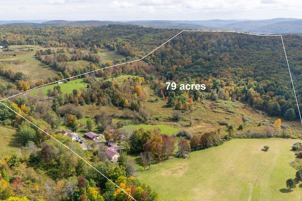 1668 Vandervort Hill Road Unadilla, NY 13849 - Photo 4 of 50 Rolling green pastures and dense woodlands stretch across this expansive acreage under a soft autumn sky.