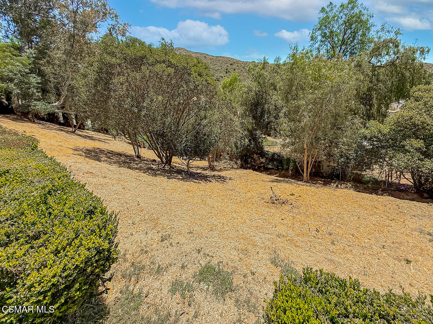 1351 Rambling Road Simi Valley, CA 93065 - Photo 62 of 70 iBackyard14