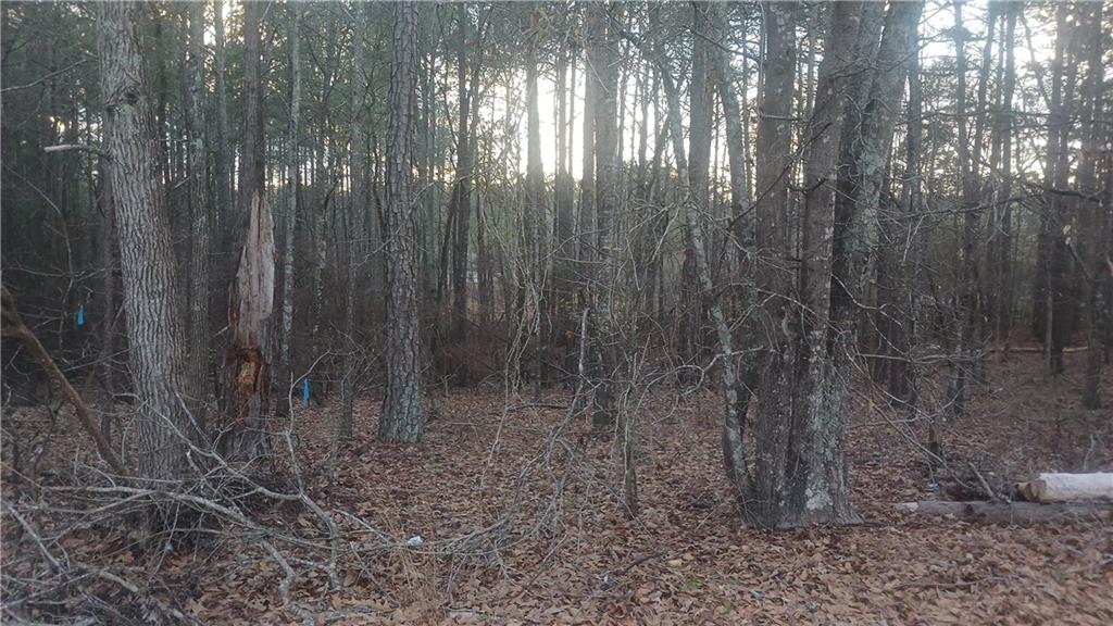 120 Harville Road Covington, GA 30016 - Photo 2 of 10