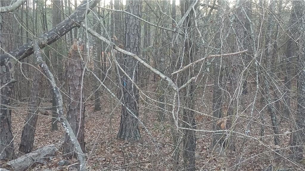 120 Harville Road Covington, GA 30016 - Photo 4 of 10 a picture of a street