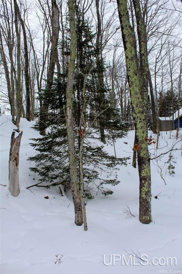 Tbd Des Rochers Road, Unit LOT 19 Pelkie, MI 49958 - Photo 25 of 33