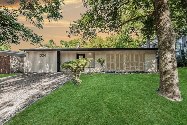 a view of a back yard that has a tree on the side of it