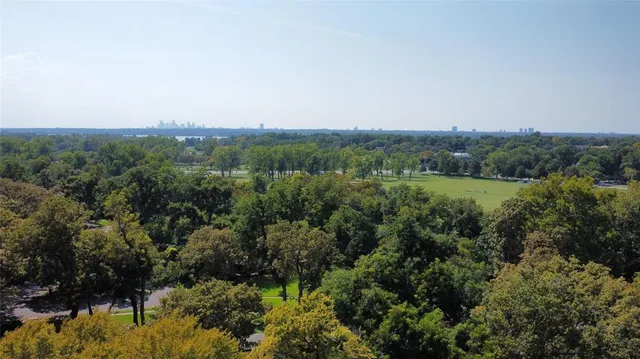 a view of a yard with a tree