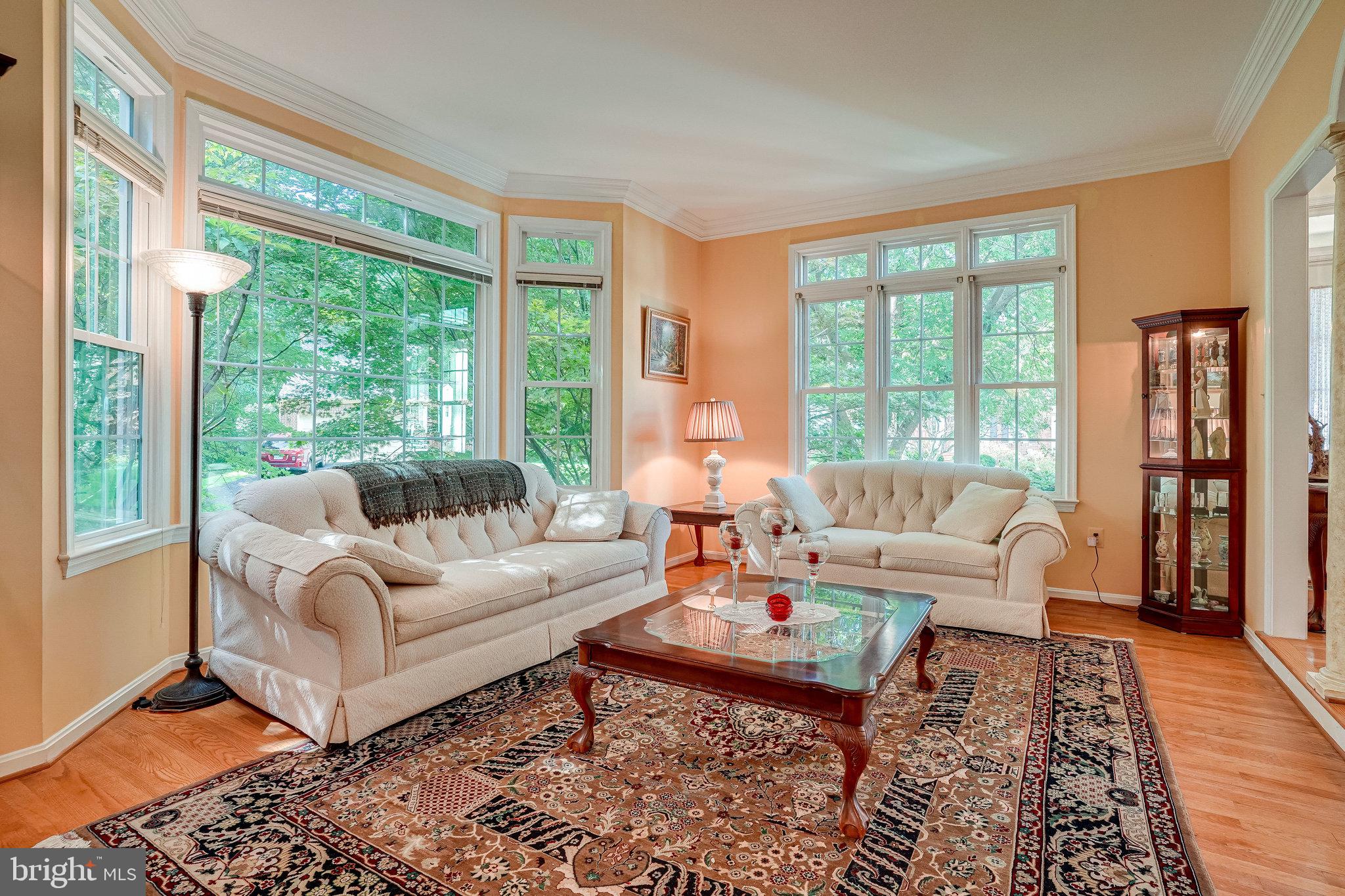 8529 Silverview Drive Lorton, VA 22079 - Photo 22 of 86 Living Room
