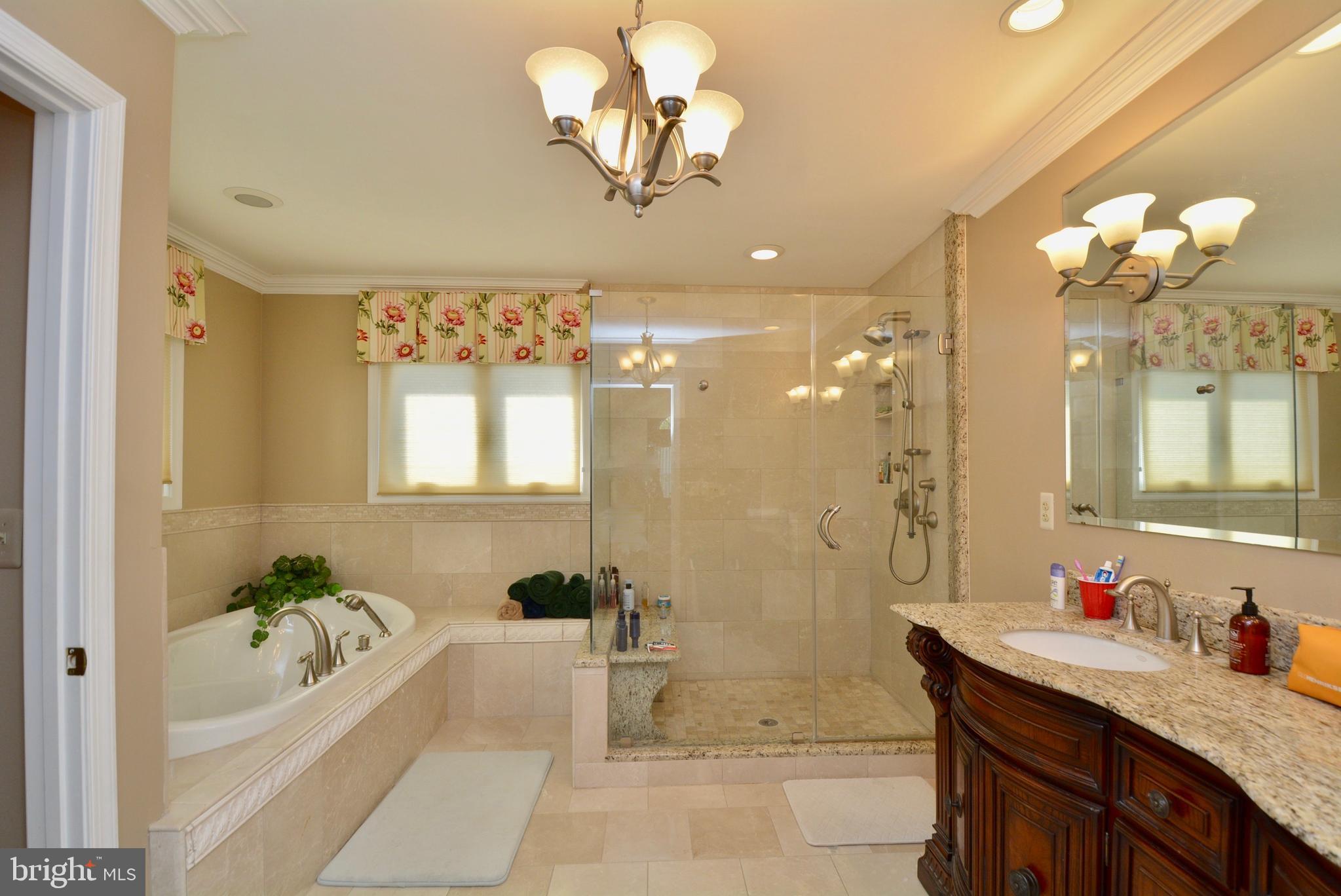 8529 Silverview Drive Lorton, VA 22079 - Photo 62 of 86 Primary Bath