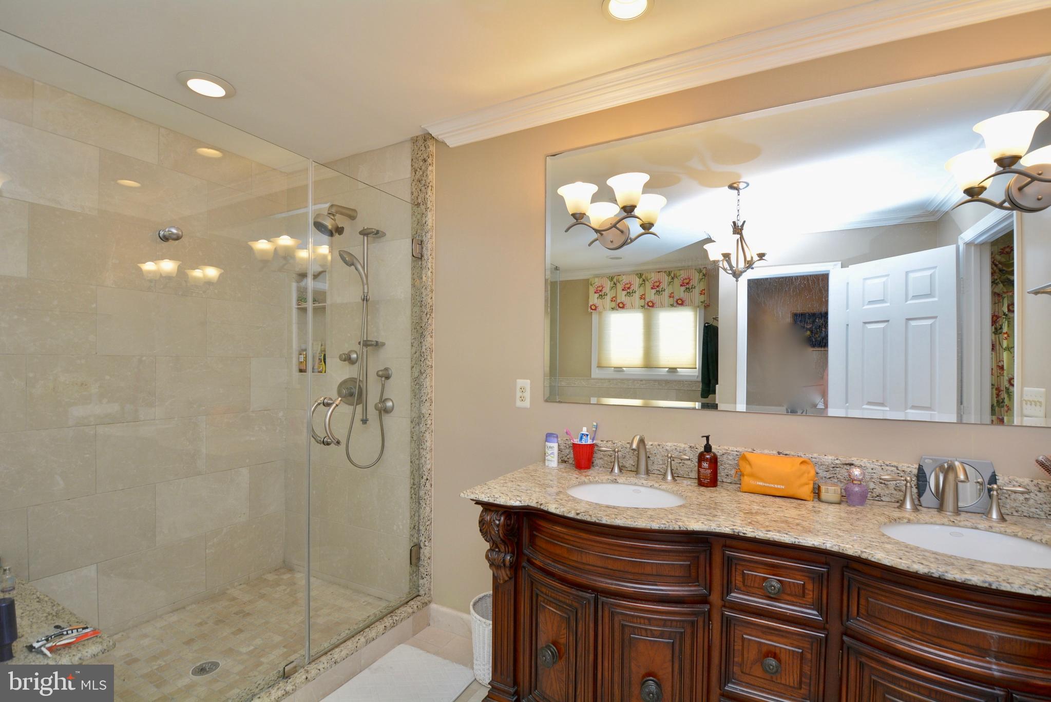 8529 Silverview Drive Lorton, VA 22079 - Photo 63 of 86 Primary Bath