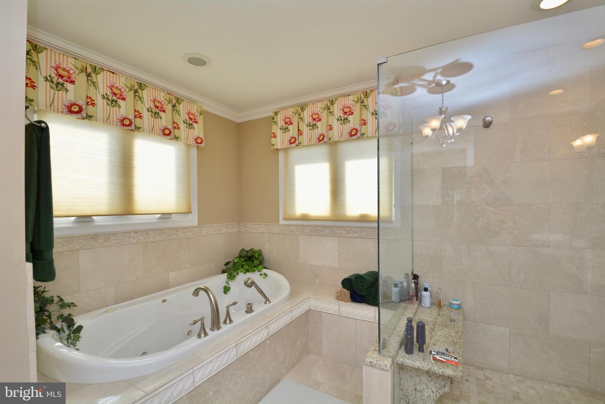 8529 Silverview Drive Lorton, VA 22079 - Photo 64 of 86 Primary Bath Jetted Tub