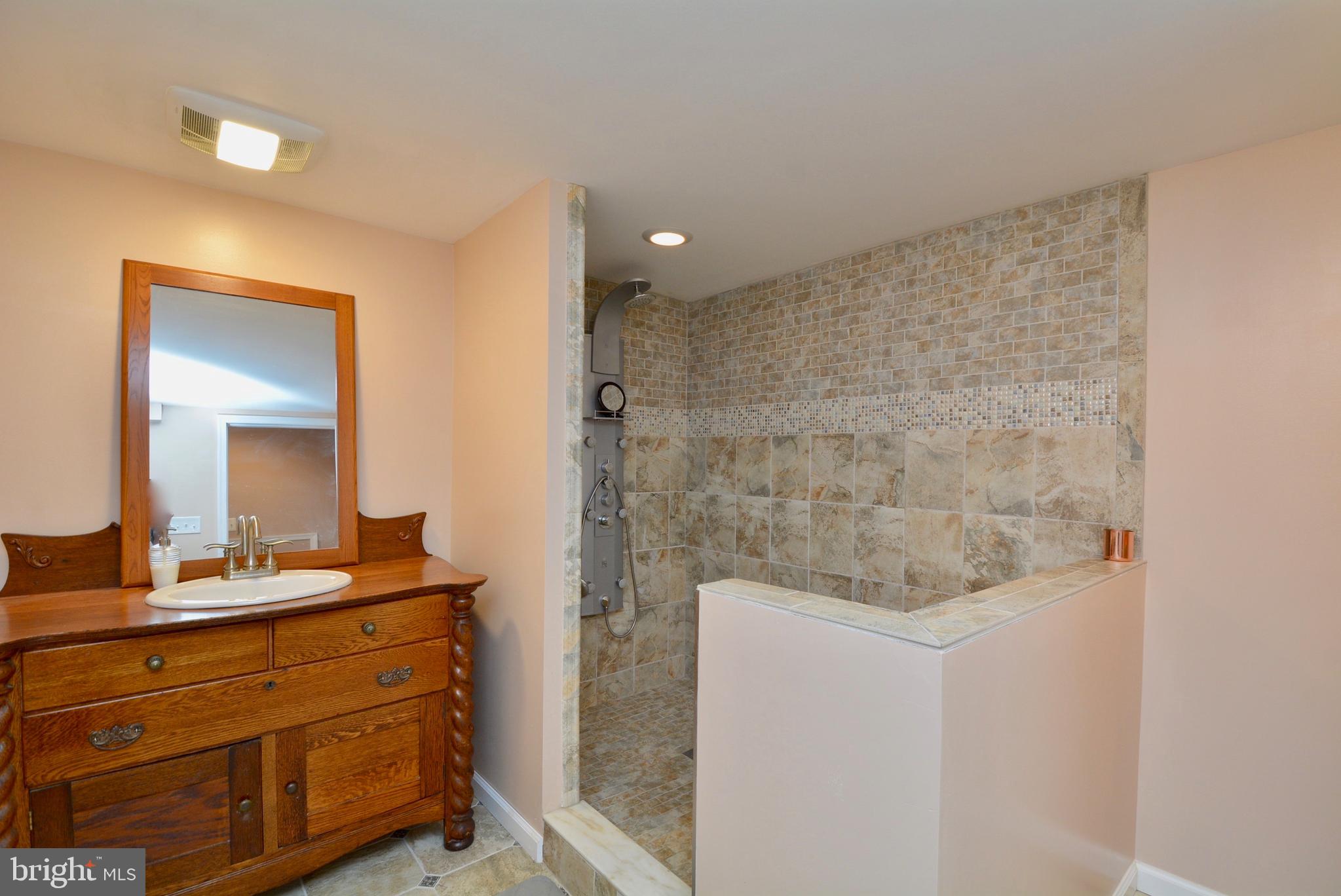 8529 Silverview Drive Lorton, VA 22079 - Photo 78 of 86 Lower Level Full Bath with Walk-in Shower
