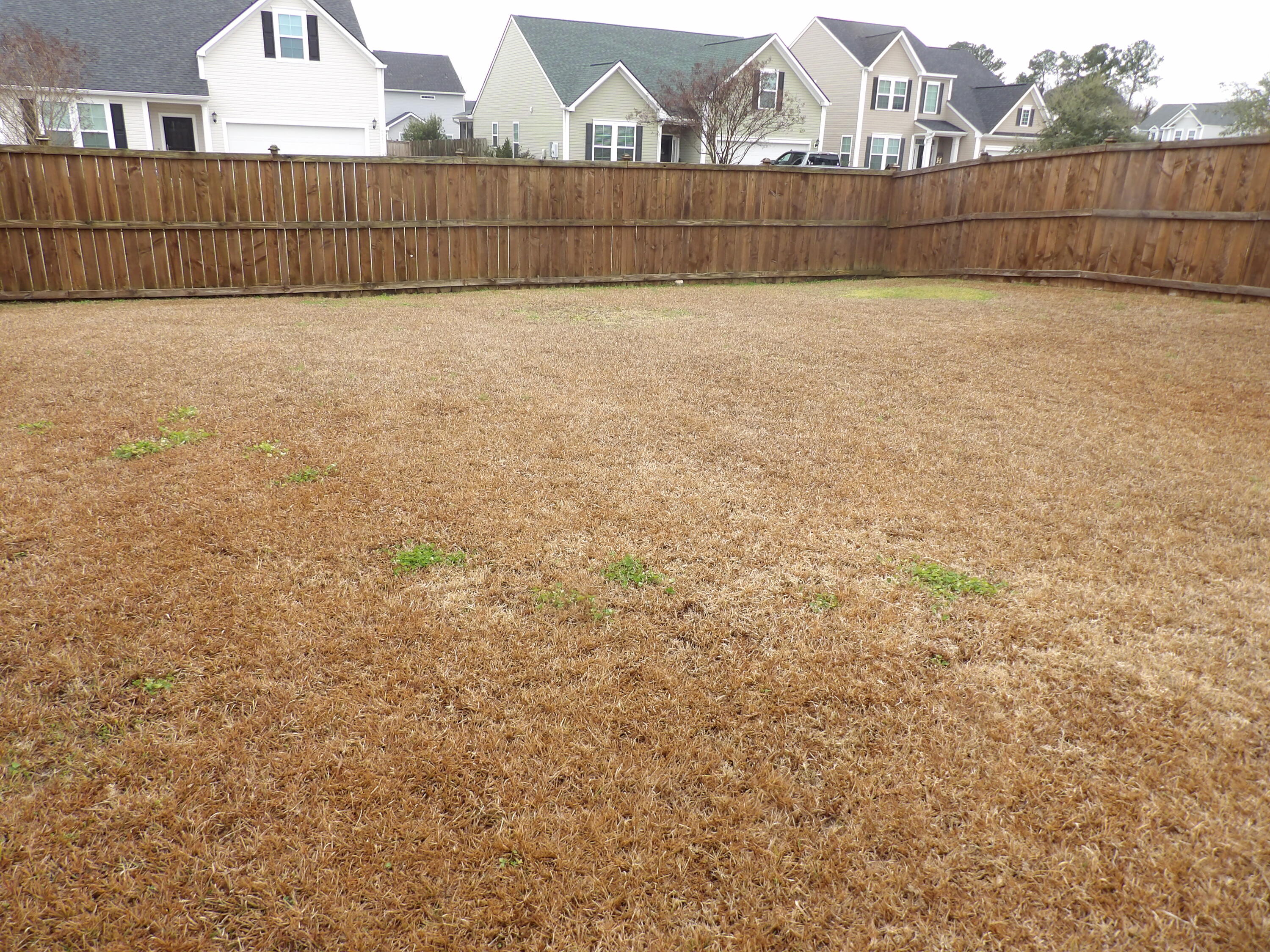 1401 Dahoo Lane Ladson, SC 29456 - Photo 13 of 13 181_7933