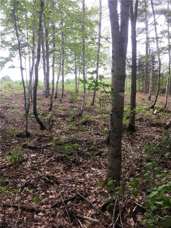 Lot 40 Kennebec Road Hampden, ME 04444 - Photo 28 of 29 Surveyed area ready for the septic...