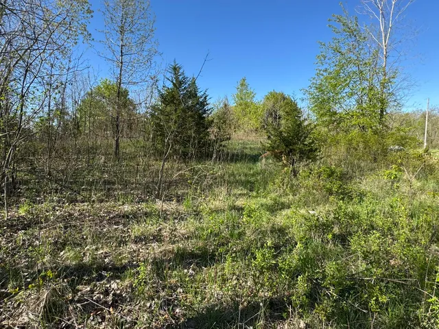 $17,500 | Lot C Stoney Lane, Eaton Rapids, MI 48827