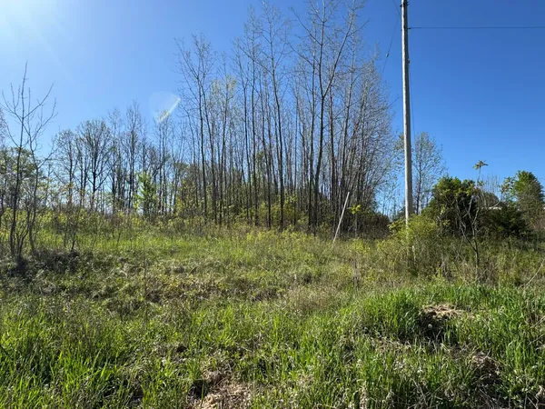 $15,500 | Lot C Stoney Lane, Eaton Rapids, MI 48827