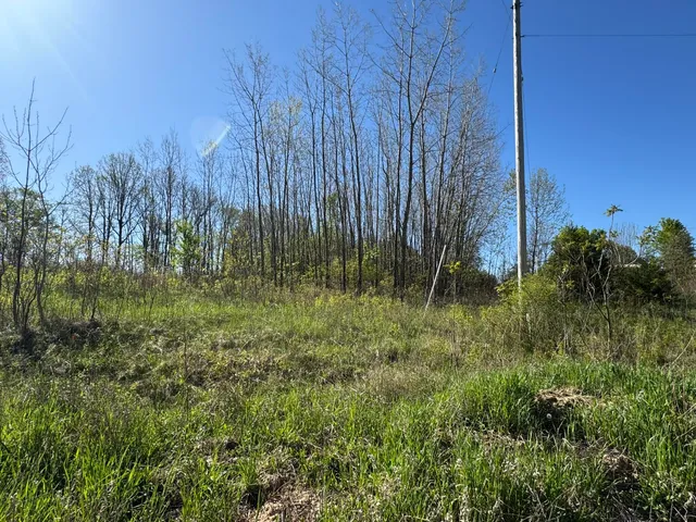 $17,500 | Lot C Stoney Lane, Eaton Rapids, MI 48827