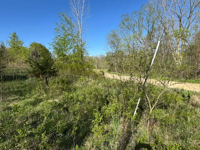 $17,500 | Lot C Stoney Lane, Eaton Rapids, MI 48827