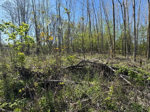$15,500 | Lot C Stoney Lane, Eaton Rapids, MI 48827