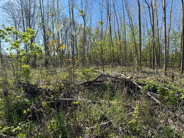 $17,500 | Lot C Stoney Lane, Eaton Rapids, MI 48827