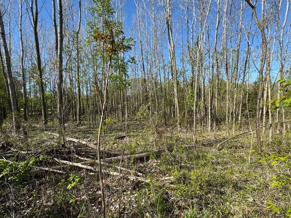 $15,500 | Lot C Stoney Lane, Eaton Rapids, MI 48827