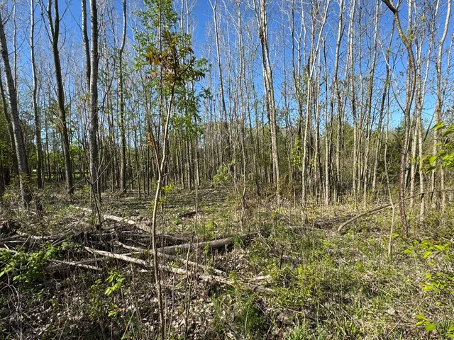 $17,500 | Lot C Stoney Lane, Eaton Rapids, MI 48827