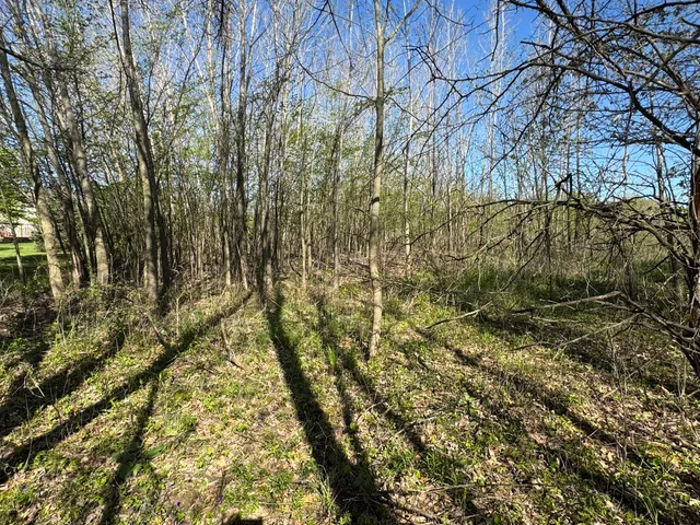 $17,500 | Lot C Stoney Lane, Eaton Rapids, MI 48827