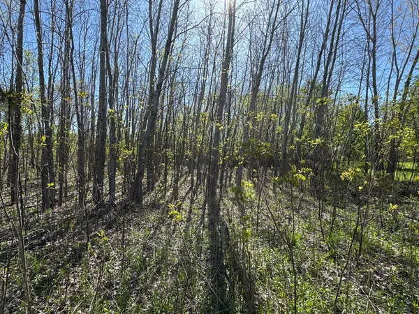 $15,500 | Lot C Stoney Lane, Eaton Rapids, MI 48827