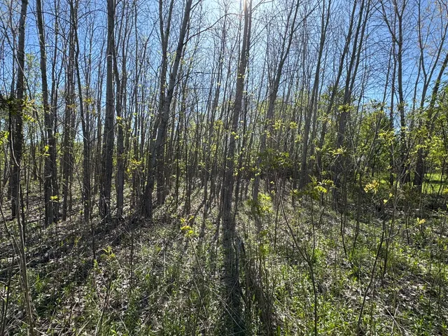 $17,500 | Lot C Stoney Lane, Eaton Rapids, MI 48827