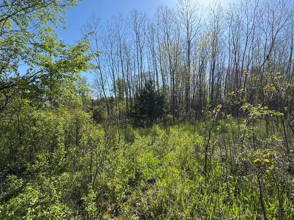 $15,500 | Lot C Stoney Lane, Eaton Rapids, MI 48827