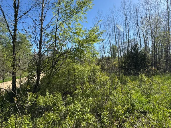 $15,500 | Lot C Stoney Lane, Eaton Rapids, MI 48827