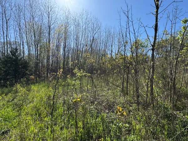 $15,500 | Lot C Stoney Lane, Eaton Rapids, MI 48827