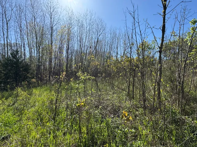 $17,500 | Lot C Stoney Lane, Eaton Rapids, MI 48827