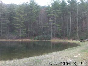 Lot 35 Round Mountain Road, Unit LOT 35 Brevard, NC 28712 - Photo 3 of 12 Gallery Image 3