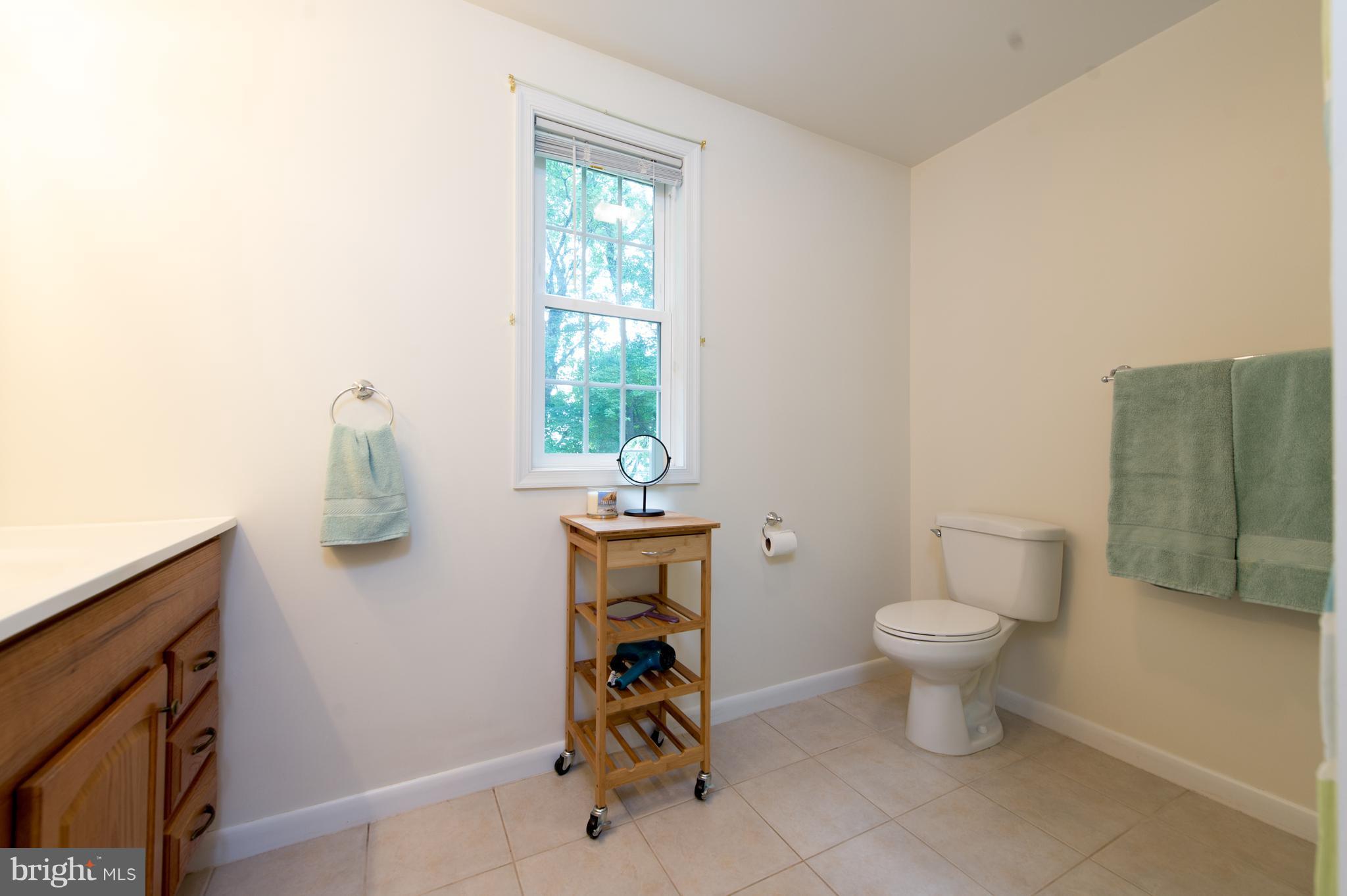7318 Torran Rocks Way Gaithersburg, MD 20879 - Photo 17 of 30 Bath (Master)