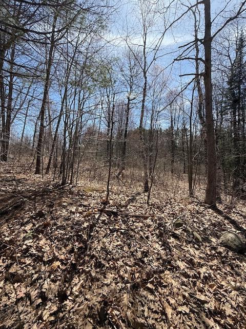 M6-l24f West River Road Augusta, ME 04330 - Photo 12 of 29 North side of Property line