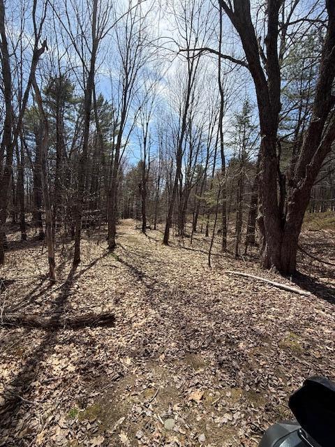 M6-l24f West River Road Augusta, ME 04330 - Photo 14 of 29 Westside of the property by powerline