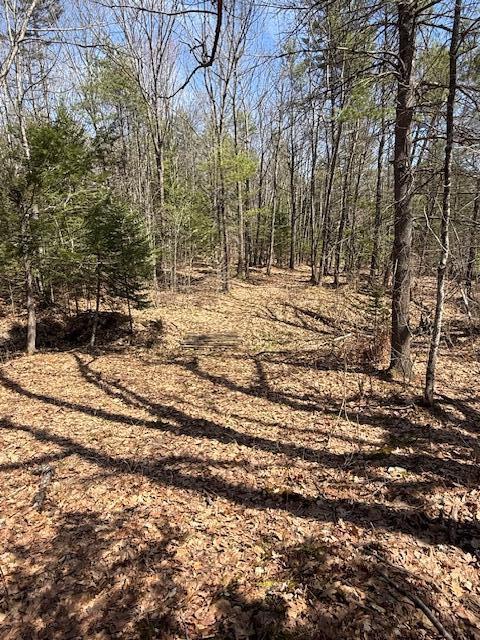 M6-l24f West River Road Augusta, ME 04330 - Photo 17 of 29 15 Southside of propety