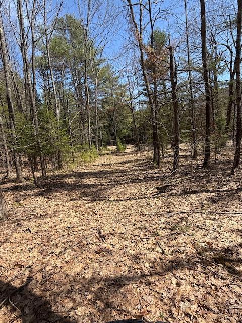 M6-l24f West River Road Augusta, ME 04330 - Photo 18 of 29 16 South Side where Spring leaves the pr