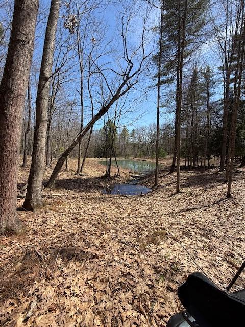M6-l24f West River Road Augusta, ME 04330 - Photo 2 of 29 Spring fed pond