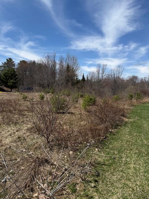 M6-l24f West River Road Augusta, ME 04330 - Photo 5 of 29 Road Frontage