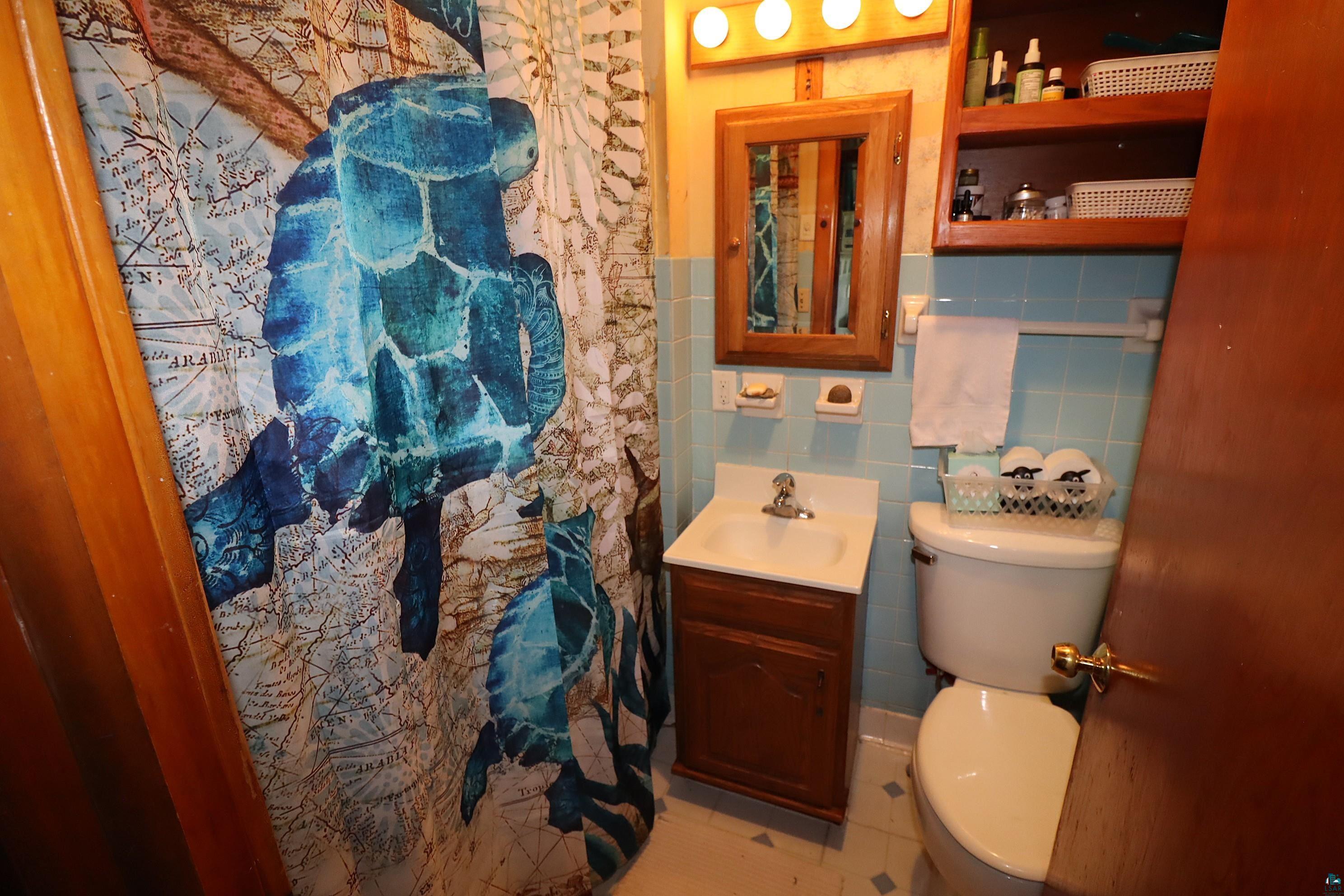 6424 Summit Avenue Washburn, WI 54891 - Photo 50 of 68 Full Bath