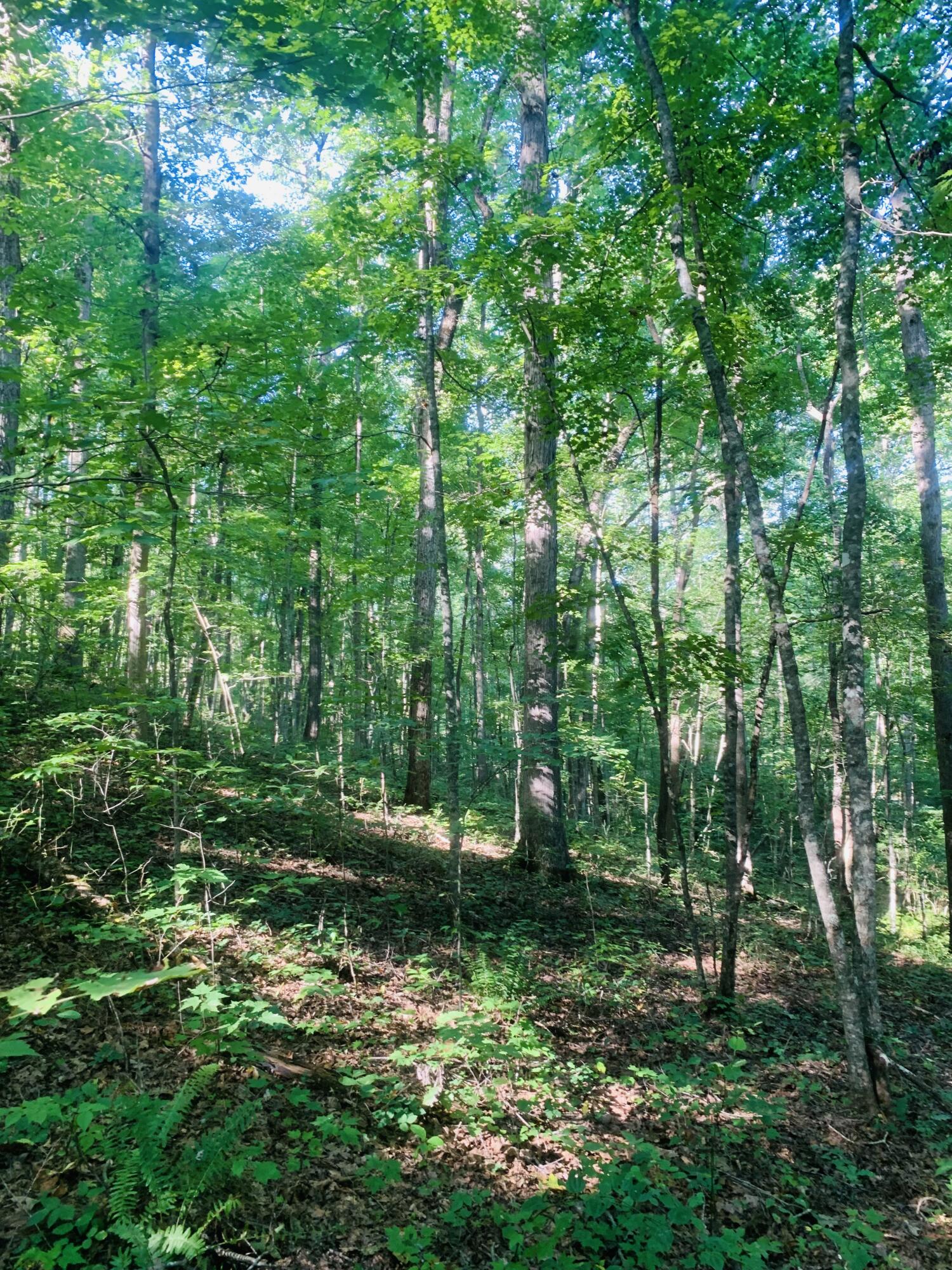 9999 West Adkins Arthur Road Somerset, KY 42501 - Photo 19 of 24 99A7F343-0C95-46AD-87E9-8E4EBFF28161